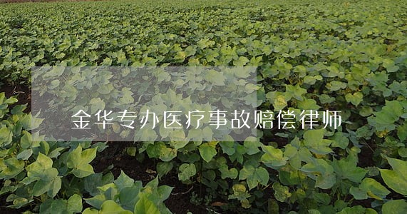 金华专办医疗事故赔偿律师