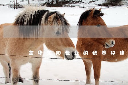 金华东阳专业的抚养权律师