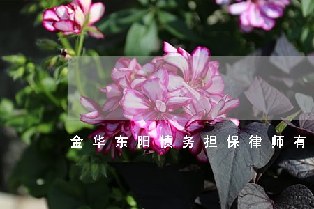 金华东阳债务担保律师有哪些 金华东阳债务担保律师有哪些