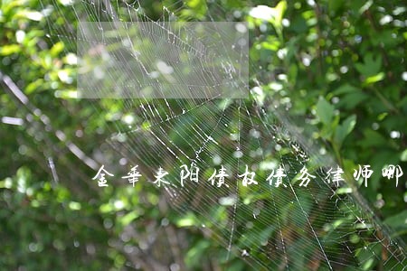 金华东阳债权债务律师哪里找 金华东阳债权债务律师哪里找