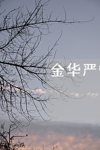 金华严管严重交通违法行为 金华严管严重交通违法行为