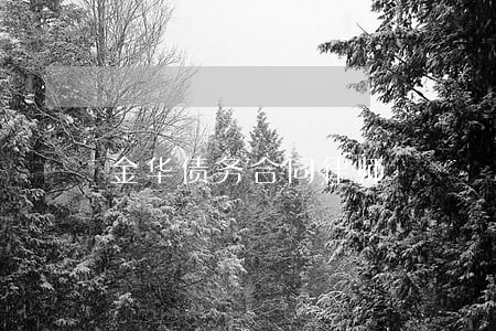 金华债务合同律师 金华债务合同律师