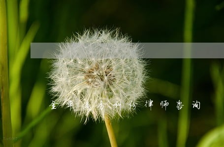 金华债务纠纷律师咨询 金华债务纠纷律师咨询