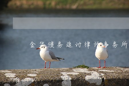 金华债务追讨律师事务所 金华债务追讨律师事务所