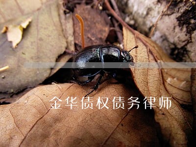 金华债权债务律师 金华债权债务律师