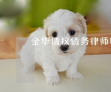 金华债权债务律师哪里找 金华债权债务律师哪里找