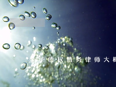 金华债权债务律师大概多少钱