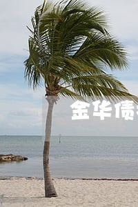 金华债权债务纠纷律师 金华债权债务纠纷律师
