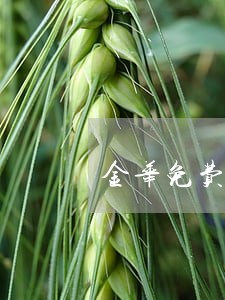 金华免费法律咨询公司 金华免费法律咨询公司