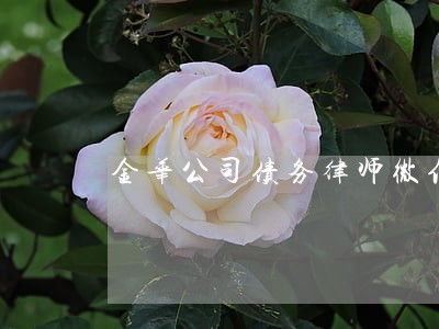 金华公司债务律师微信咨询