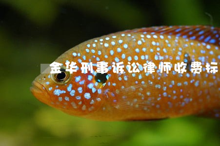 金华刑事诉讼律师收费标准 金华刑事诉讼律师收费标准
