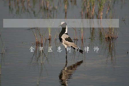 金华医患纠纷律师 金华医患纠纷律师