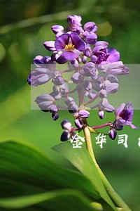 金华司法雇员薪资多少 金华司法雇员薪资多少