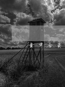 金华合资合作法律咨询
