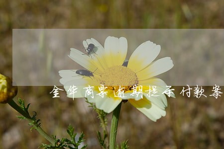 金华商票逾期提示付款案例 金华商票逾期提示付款案例