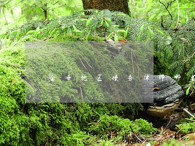金华地区债务律师哪里找 金华地区债务律师哪里找
