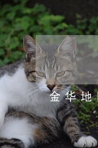 金华地区债权债务律师详情咨询 金华地区债权债务律师详情咨询