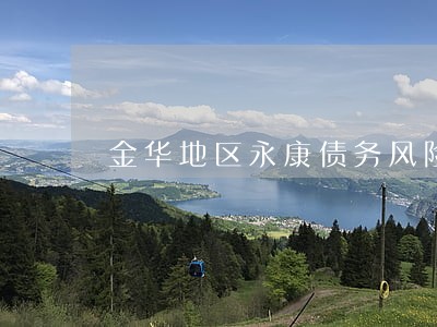 金华地区永康债务风险代理律师 金华地区永康债务风险代理律师