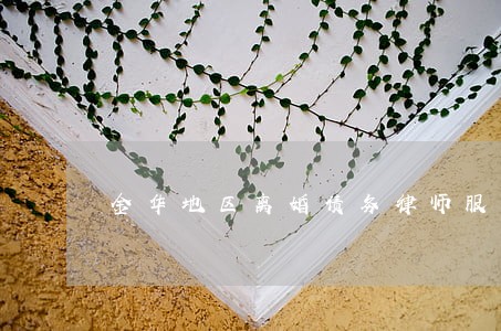 金华地区离婚债务律师服务