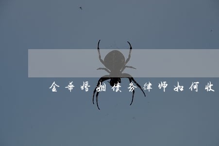 金华婚姻债务律师如何收费 金华婚姻债务律师如何收费