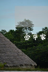 金华家庭债务纠纷律师 金华家庭债务纠纷律师