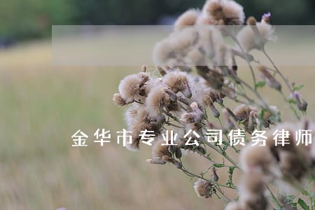 金华市专业公司债务律师 金华市专业公司债务律师