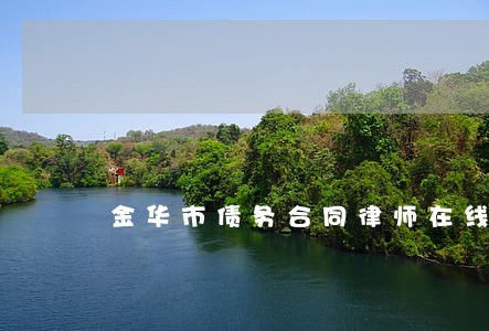 金华市债务合同律师在线咨询