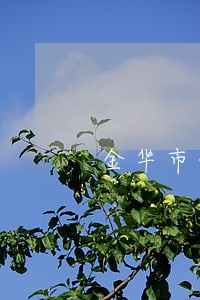 金华市债务律师详情咨询 金华市债务律师详情咨询