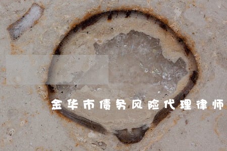 金华市债务风险代理律师事务所 金华市债务风险代理律师事务所