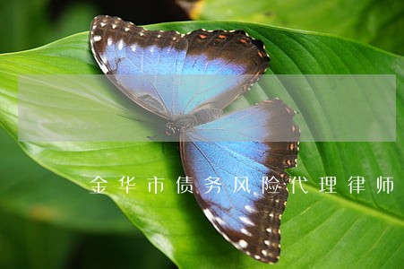 金华市债务风险代理律师电话 金华市债务风险代理律师电话