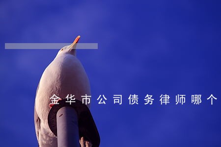 金华市公司债务律师哪个好 金华市公司债务律师哪个好