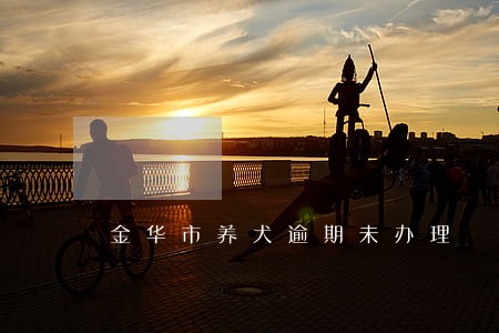 金华市养犬逾期未办理 金华市养犬逾期未办理