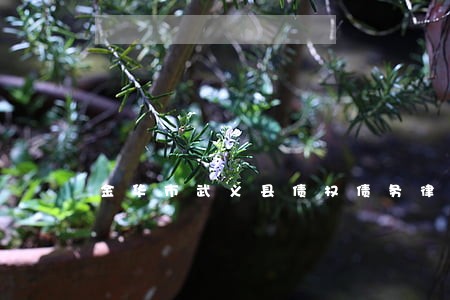 金华市武义县债权债务律师多少钱 金华市武义县债权债务律师多少钱