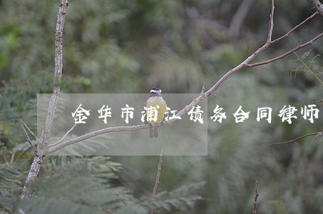 金华市浦江债务合同律师收费标准