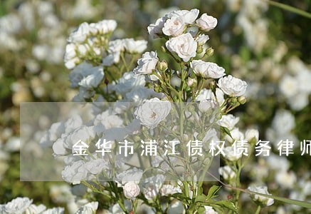 金华市浦江债权债务律师事务所 金华市浦江债权债务律师事务所