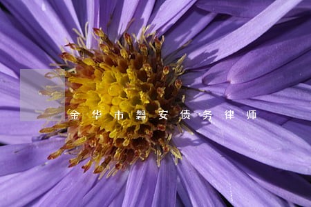 金华市磐安债务律师 金华市磐安债务律师