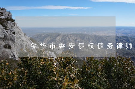 金华市磐安债权债务律师排行 金华市磐安债权债务律师排行