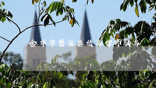 金华市磐安县债务律师服务 金华市磐安县债务律师服务