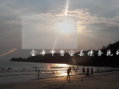 金华市磐安县债务执行律师服务 金华市磐安县债务执行律师服务