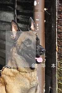 金华本地会见律师法律服务 金华本地会见律师法律服务