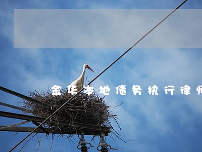金华本地债务执行律师详情咨询 金华本地债务执行律师详情咨询