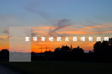 金华本地武义县债务合同律师 金华本地武义县债务合同律师