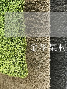 金华某村支书新建大面积违法建筑