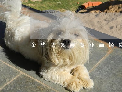 金华武义县专业离婚债务律师 金华武义县专业离婚债务律师