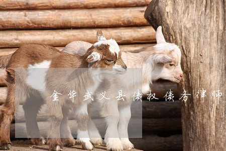 金华武义县债权债务律师费用 金华武义县债权债务律师费用