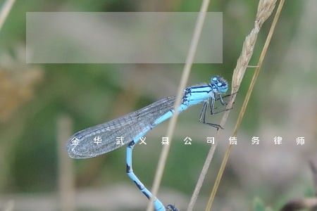 金华武义县公司债务律师费用 金华武义县公司债务律师费用