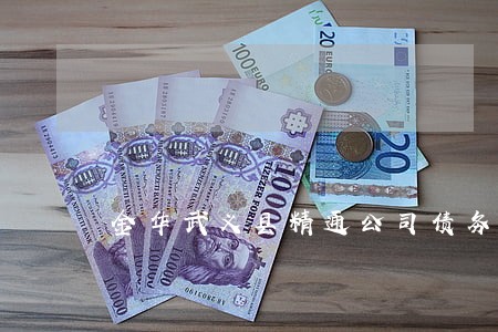 金华武义县精通公司债务律师 金华武义县精通公司债务律师