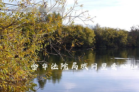 金华法院局域网里爱心如潮 金华法院局域网里爱心如潮