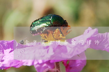 金华浦江债务合同律师 金华浦江债务合同律师