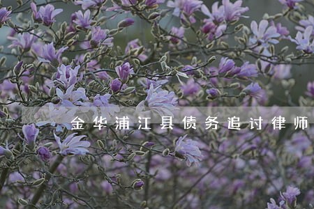 金华浦江县债务追讨律师介绍